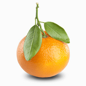 Tangerine-block1