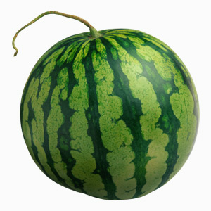 Watermelon-block1