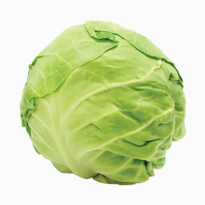 Cabbage-block1