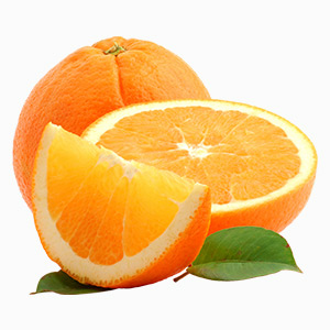 Dried-Orange-block1