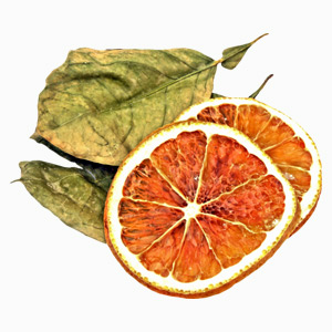 Dried-Orange-block2